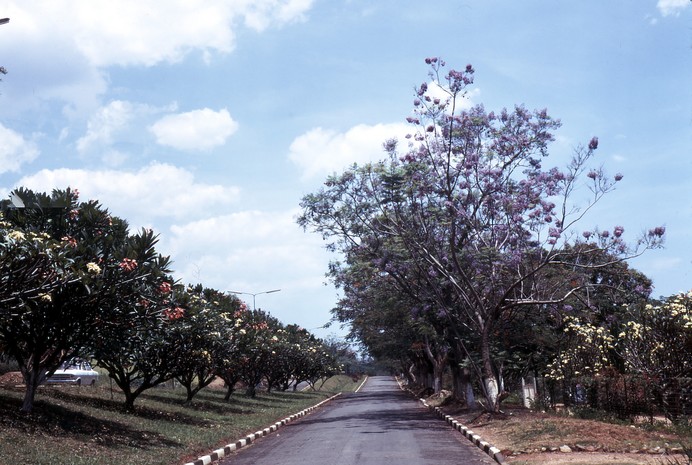 Bujumbura