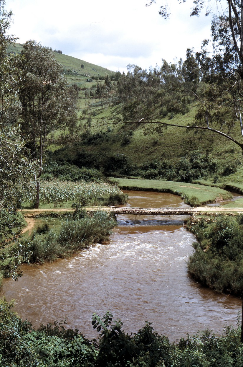 Collines