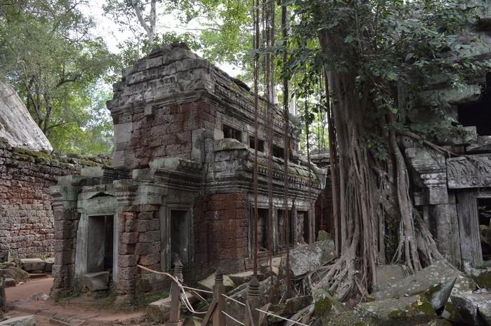 Ta Prohm