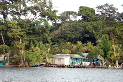 canal tortuguero