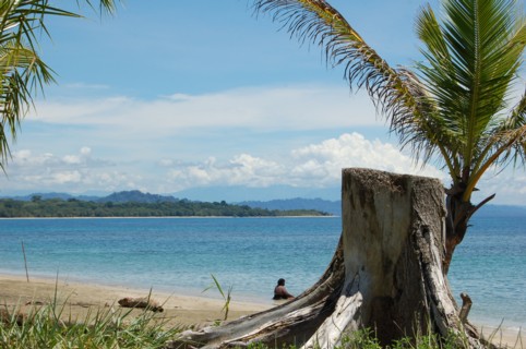 Manzanillo