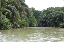 tortuguero