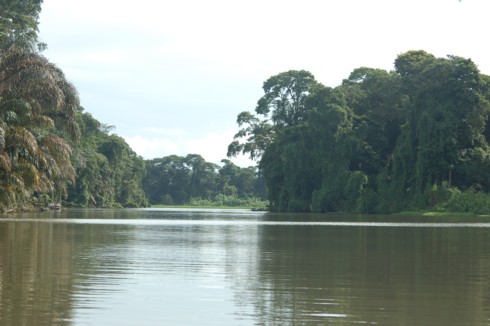 Sue les canaux de Tortuguero