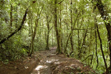 waterfall trek