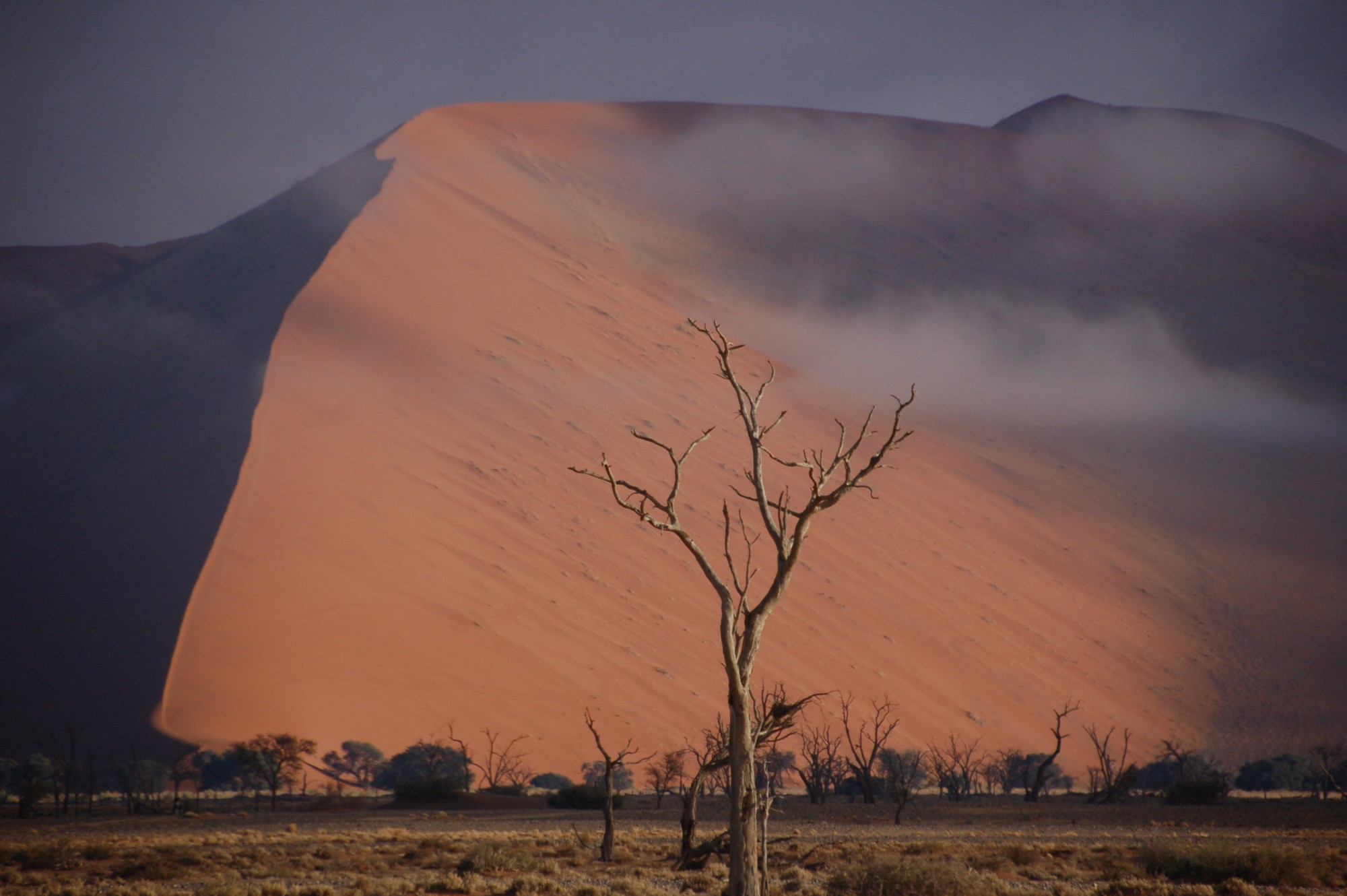 Dune du Namib