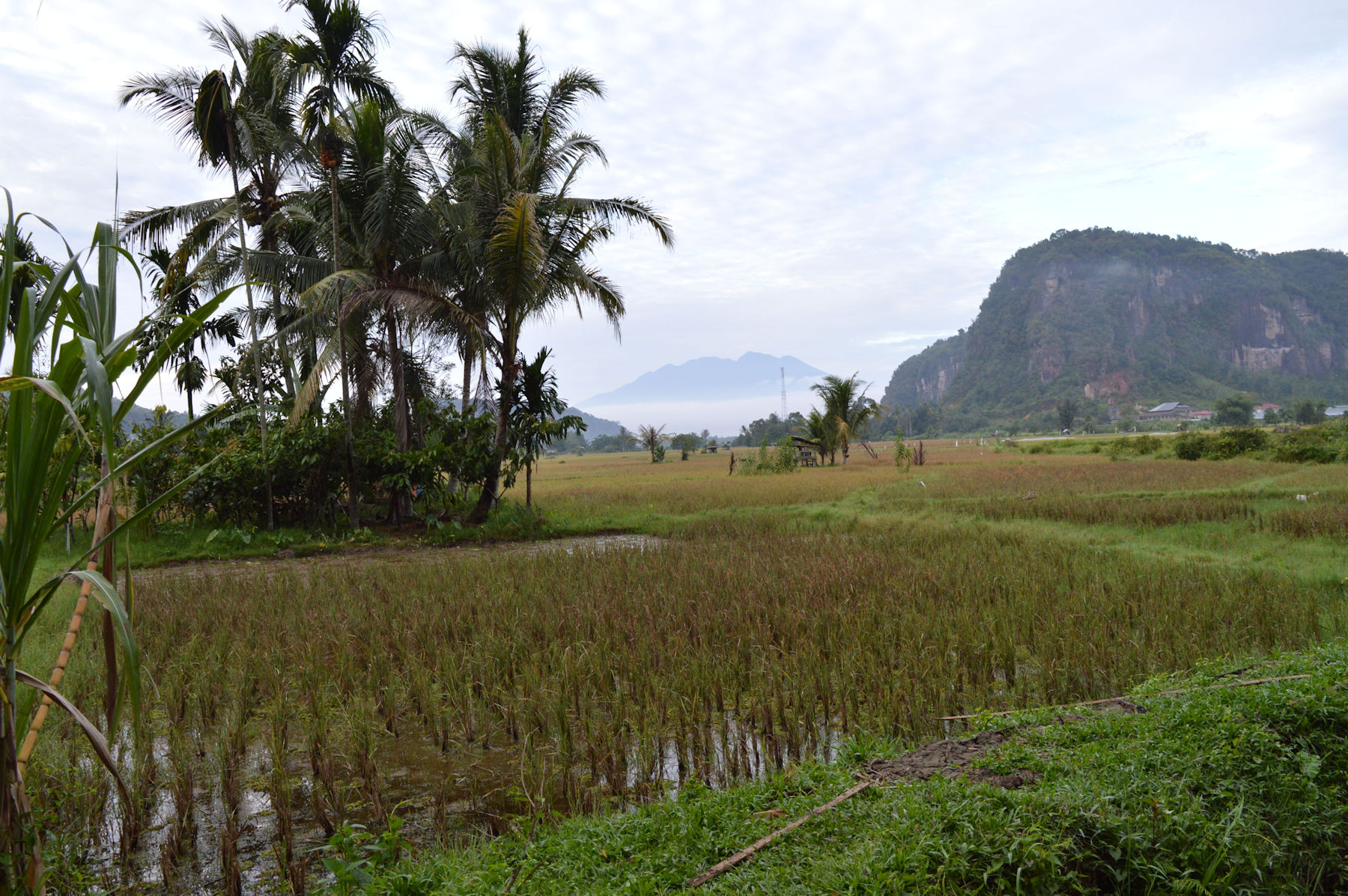 Harau valley