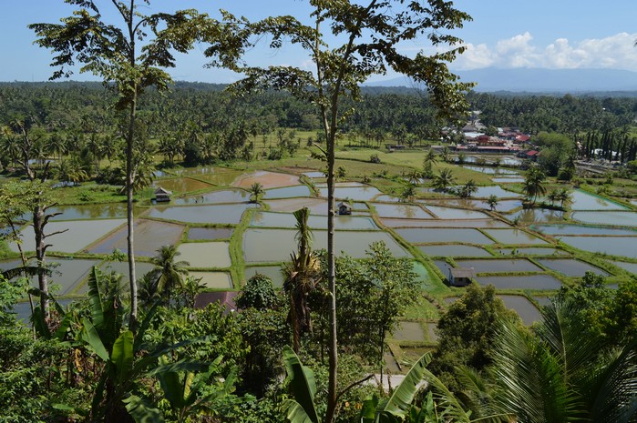 Panorama Kiambang