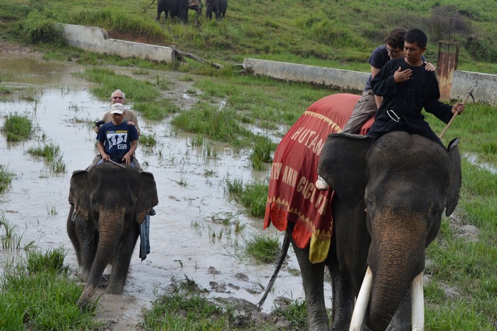 Satwa Elephant Ecolodge