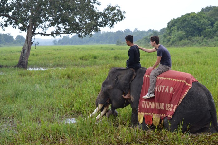 Satwa Elephant Ecolodge
