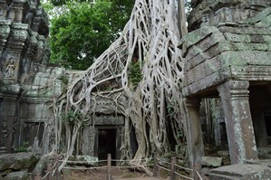 Ta Prohm