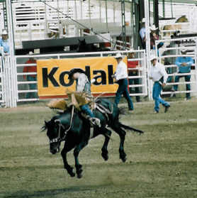 Rodeo