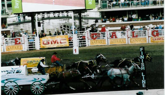 The chuckwagons race