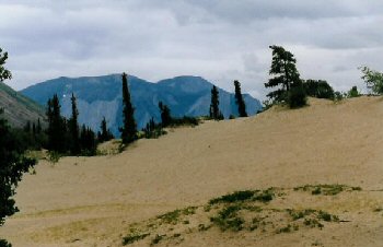 Carcross desert