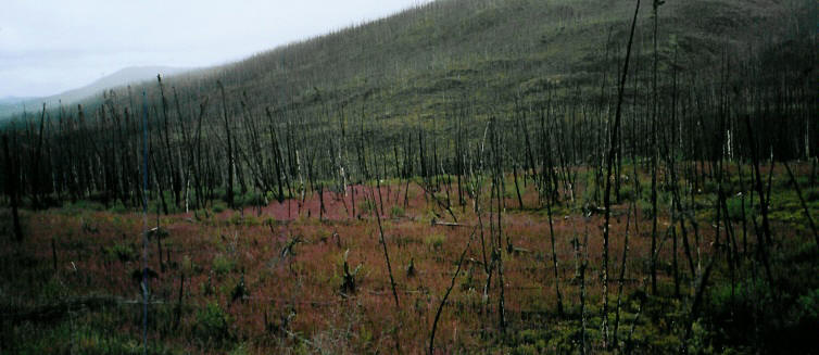 Le Yukon