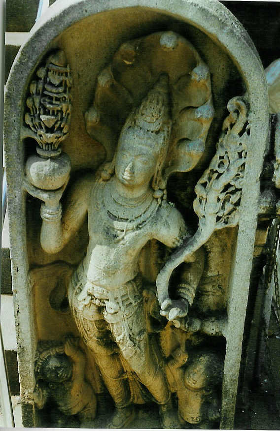 Nagaraja