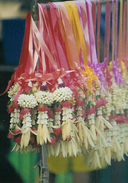 anneau de jasmin